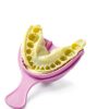 Triple Bite Registration Tray JEVOLVE Arch Large 35‑Piece Multi‑Slot-1