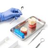 Stainless Steel Medical Trays by YGbridge 3-Pack Dental & Surgical-3